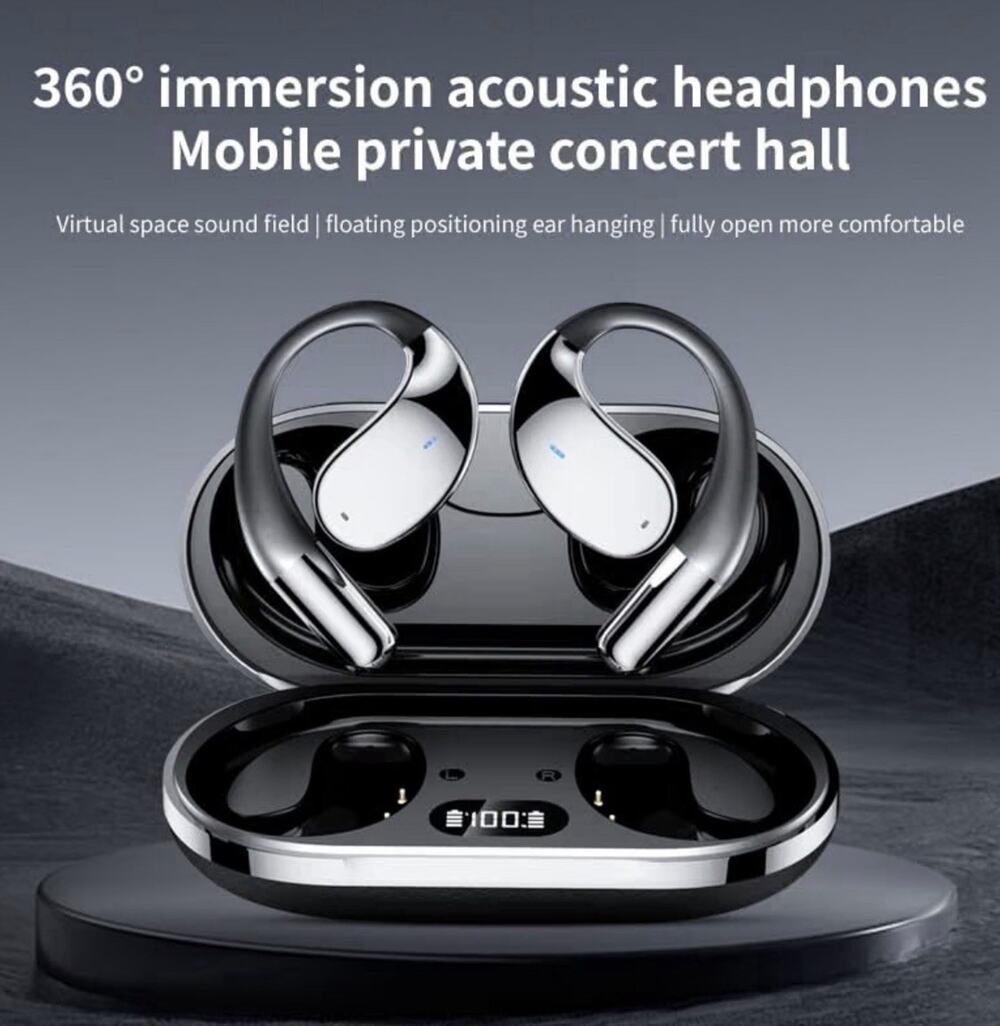 Bluetooth Wireless Ear-Hook Earbuds (Double) w/Charging Case Black/Silver